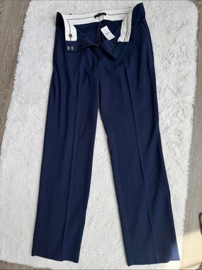 Ann Taylor Navy Curvy Dress Pants